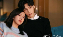 娱乐圈吃瓜夫妻小说推荐,揭秘那些隐藏在闪光灯下的爱情故事